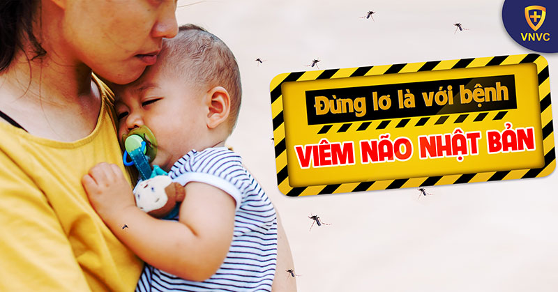 Cảnh báo bệnh viêm não Nhật Bản ở trẻ em