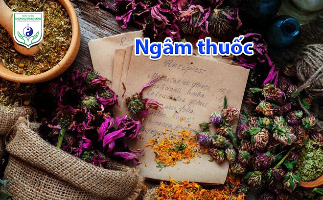 Ngâm thuốc