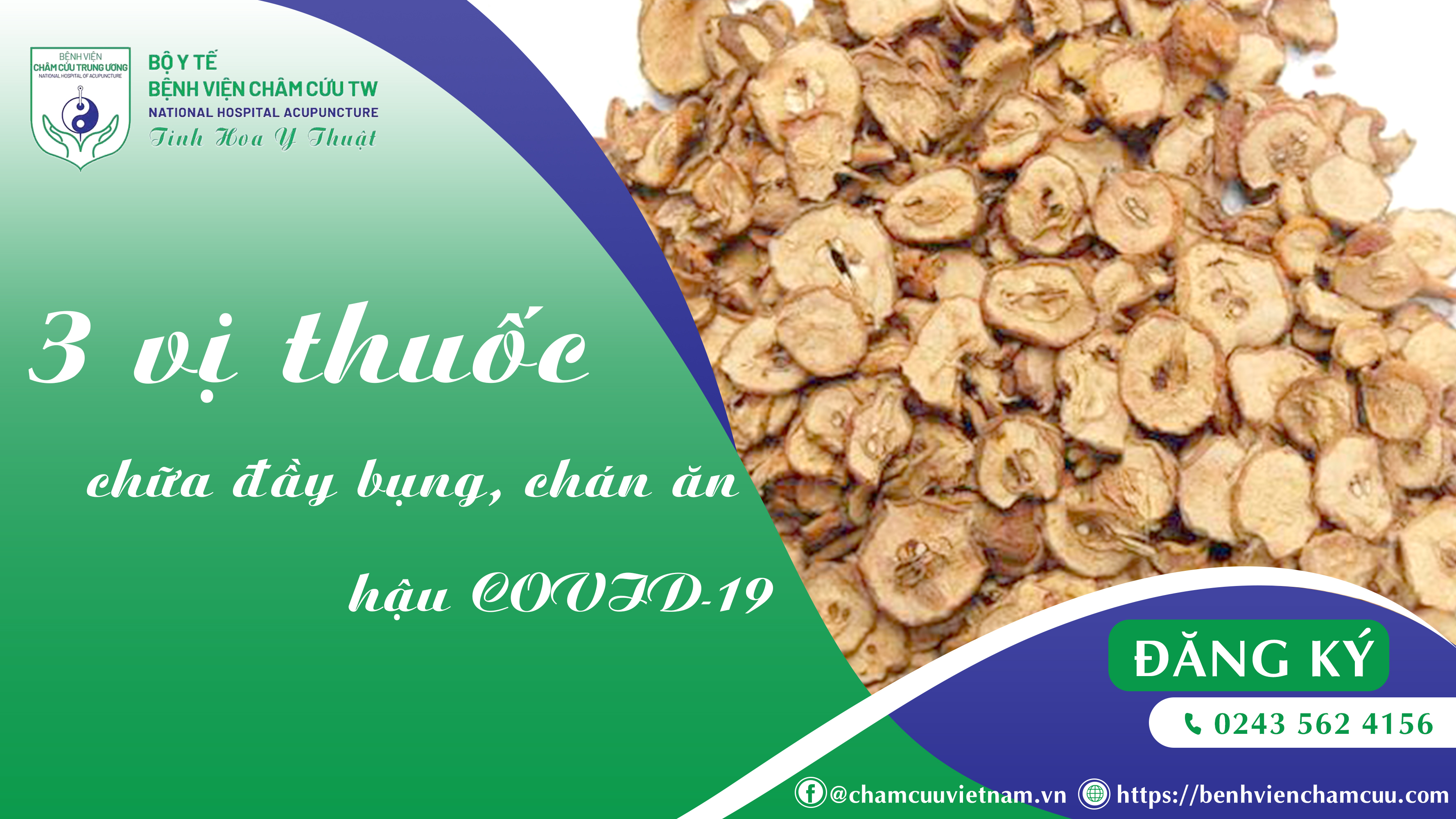 3 vị thuốc  chữa đầy bụng, chán ăn  hậu COVID-19